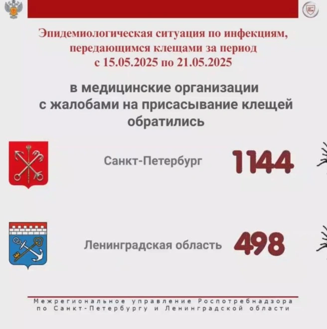 Клещи за неделю покусали больше тысячи петербуржцев. Особенно отличились два района | Источник: Роспотребнадзор Петербурга