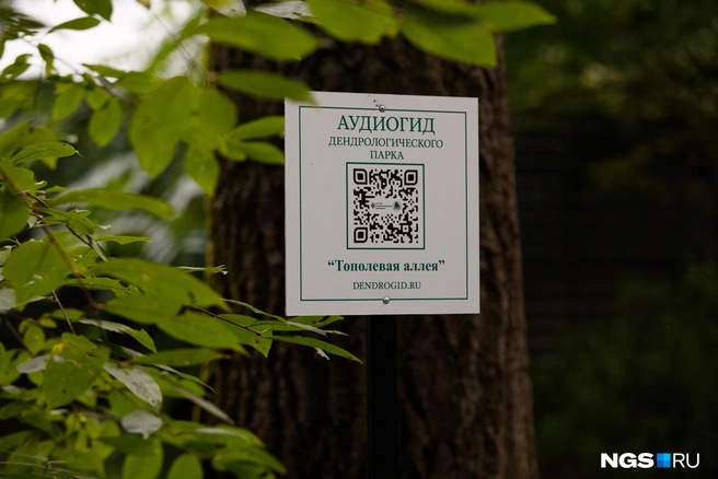 В этом году появились таблички с QR-кодами | Источник: Андрей Бортко / NGS.RU