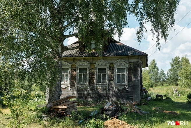 Деревенский дом, укрытый тенью большой березы | Источник: Александр Куренной / 76.RU
