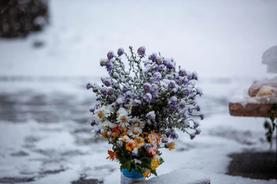 Спор в Новосибирске: шоколадка или айфон на первом свидании