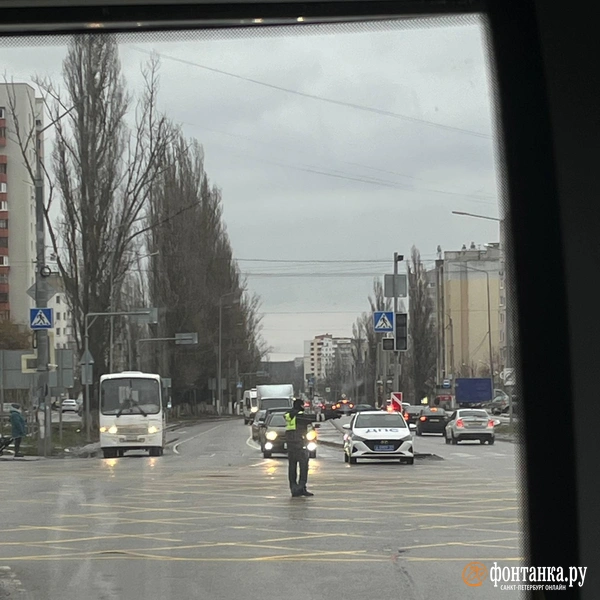 Источник: Кира Зубкова / «Фонтанка.ру»