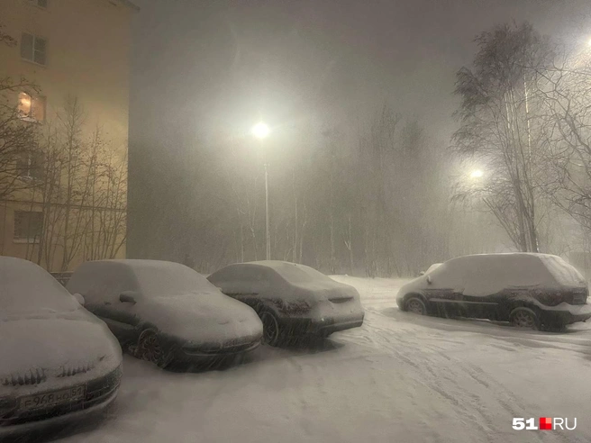 Источник: Александра Балаба / 51.RU