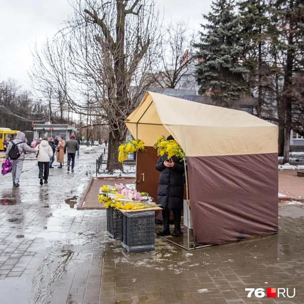 Палатка стоит возле памятника Карлу Марксу | Источник: Кирилл Поверинов / 76.RU