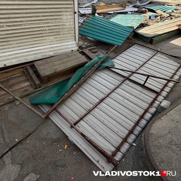 Источник: Елена Буйвол / VLADIVOSTOK1.RU
