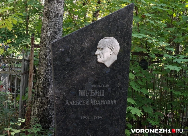 Источник: Алена Воропаева / Voronezh1.ru