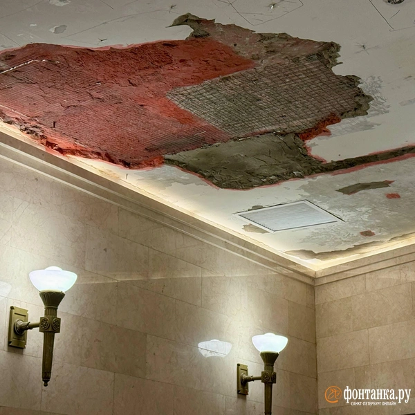 Источник: Марина Мамонтова/«Фонтанка.ру»