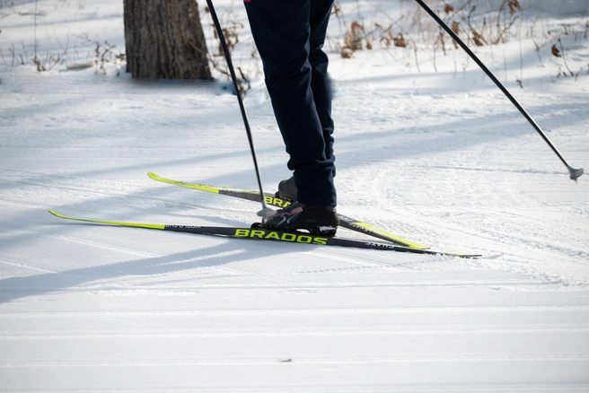 Регион стал лучшим в нескольких номинациях | 142.ru