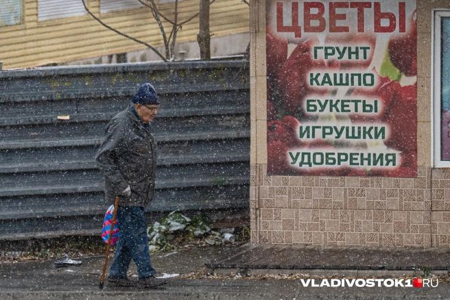Источник: Елена Буйвол / VLADIVOSTOK1.RU