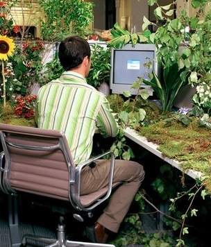 Россияне рассказали о любимых видах офиса. И это совсем не open space