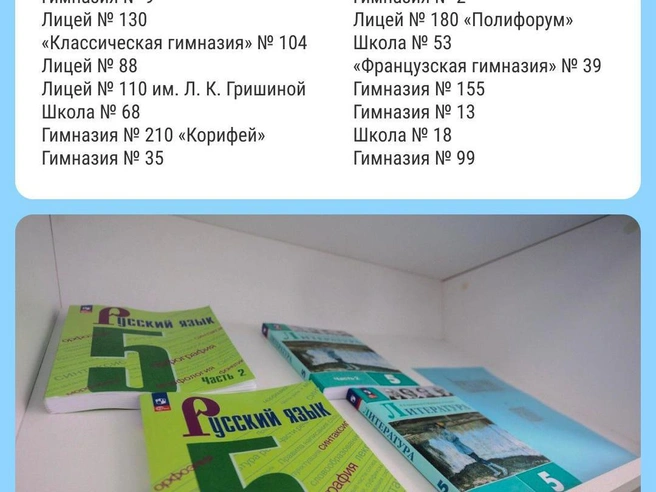 Собрали список лучших школ в одной картинке | Источник: Филипп Сапегин / E1.RU