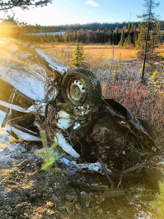 Источник: прокуратура Мурманской области / T.me