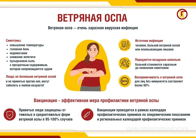 О ветрянке — главное | Источник: Управление Роспотребнадзора по Оренбургской области / t.me