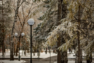 В Новосибирской области ожидается потепление до +5 градусов