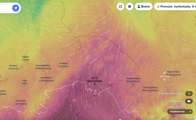 Такую обстановку показывает сервис 17 июня | Источник: ventusky.com