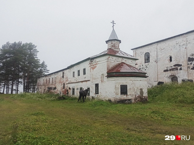 Источник: Ярослав Вареник