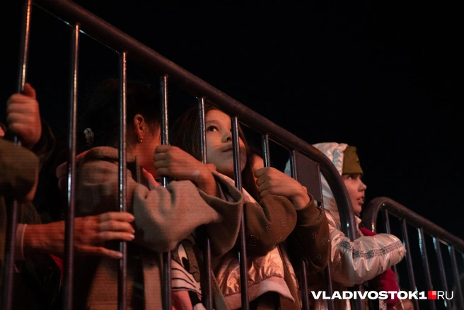 Источник: Елена Буйвол / VLADIVOSTOK1.RU