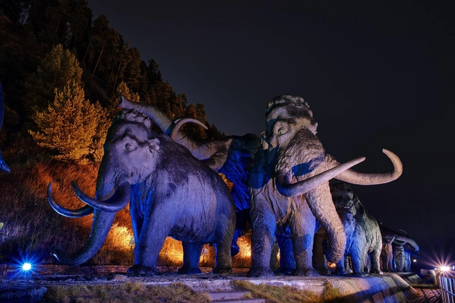 Источник: Сергей Коршилов / ВКонтакте