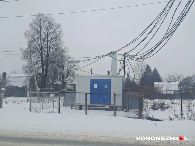 Источник: Алена Воропаева / Voronezh1.ru