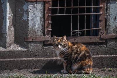 Антициклон принес солнце, но дожди вернутся