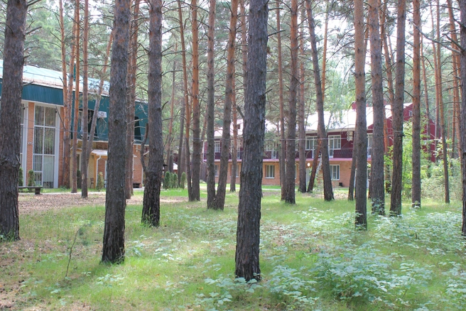 Источник: «Сказка»