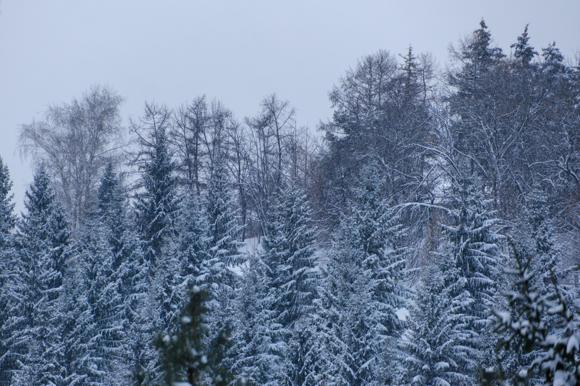 Источник: Булат Салихов / UFA1.RU