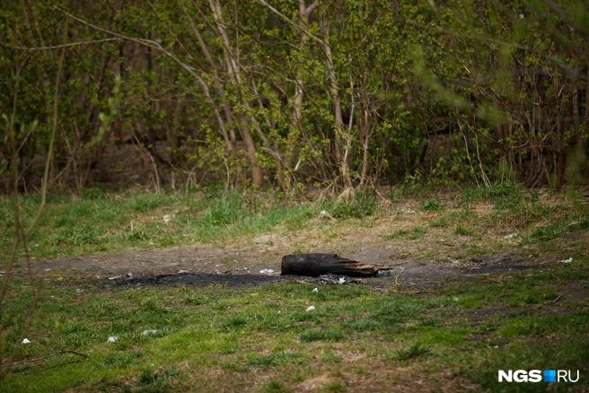 У озера много кострищ, в основном нецивилизованных | Источник: Андрей Бортко / NGS.RU