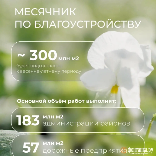Источник: правительство Петербурга