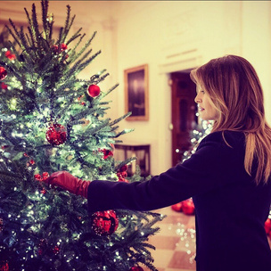 Кошмар перед Рождеством: Мелания Трамп повторила прошлогодний «успех» в соцсетях