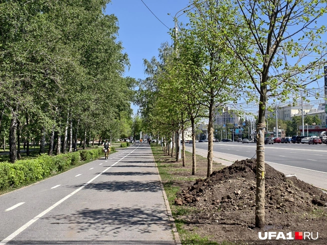 Улица 50-летия Октября | Источник: Булат Салихов / UFA1.RU