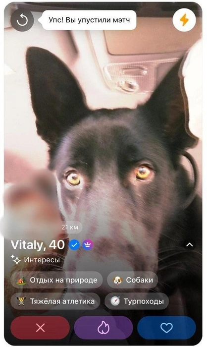 Источник: VK Знакомства