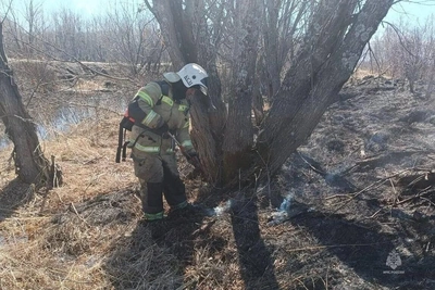 На Камчатке с начала сезона зафиксировано около 80 пожаров сухой травы