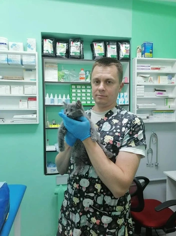 В «Белой лапе» с любовью относятся к каждому пациенту | Источник: «Яндекс Карты»