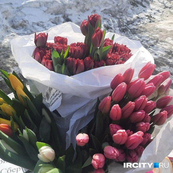 Есть даже пионовидные тюльпаны из Омска | Источник: Виктор Лучкин / «ИрСити»