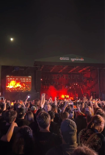 Билет на концерт обошелся тюменке в 5,5 тысячи рублей | Источник: Юлия Гринберг