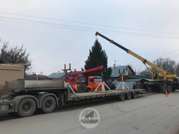 Улики | Источник: «Энгельс онлайн» / тг-канал