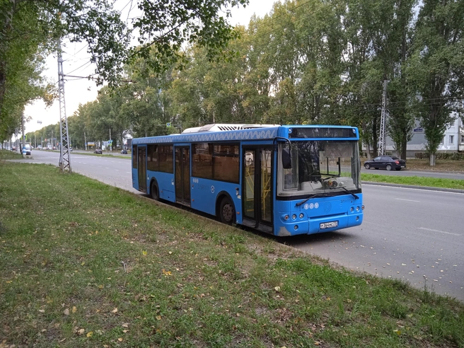 Немало вопросов касались городского транспорта | Источник: Дмитрий Сильнов / 173. RU