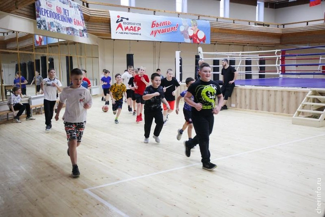 Источник: st.cherinfo.ru