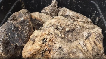 Источник: Newsflare