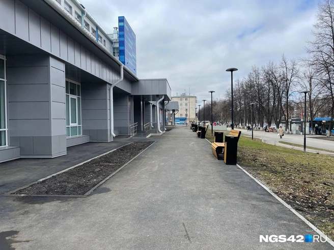Источник: Валерия Городецкая / NGS42.RU