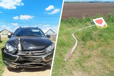 Водитель «Гранты» спровоцировал аварию, уворачиваясь от лисы