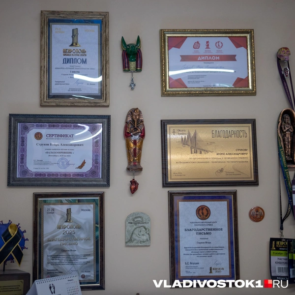 Источник: Елена Буйвол / VLADIVOSTOK1.RU