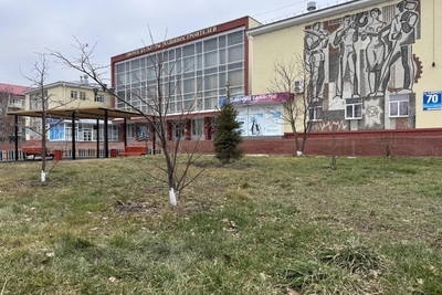 В Кургане побиты декабрьские рекорды тепла