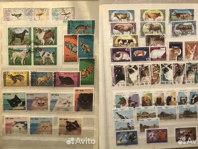 На марках изображены кошки и собаки различных пород | Источник: «Авито»