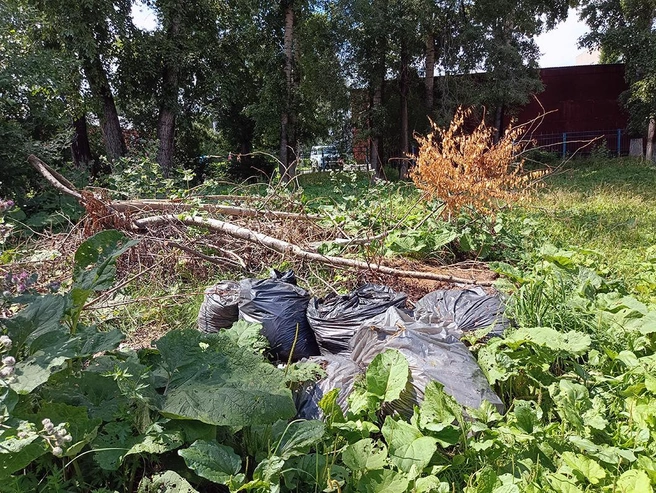 Кратко о главных событиях Новокузнецка | Источник: kuzrab.ru