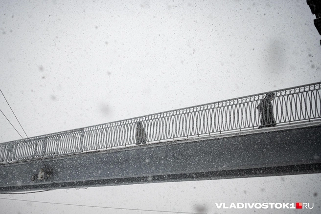 Источник: Елена Буйвол / VLADIVOSTOK1.RU