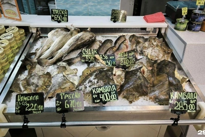 Почему в Поморье ловят меньше трески