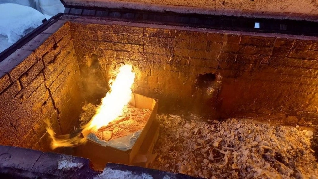 В петербургском порту спалили 40 кг аргентинского мяса | Источник: Северо-Западное межрегиональное управление Россельхознадзора