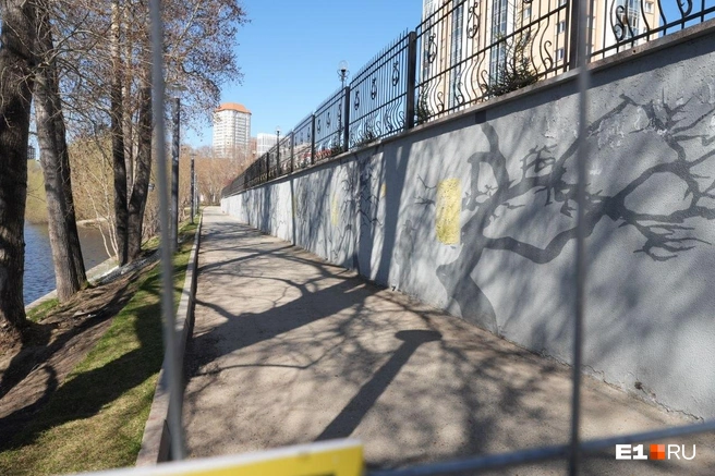 Источник: Кирилл Кушнов / E1.RU
