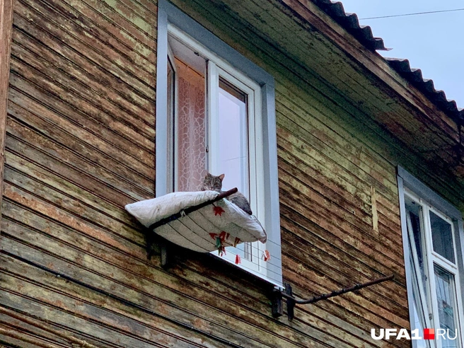 Ему хорошо
