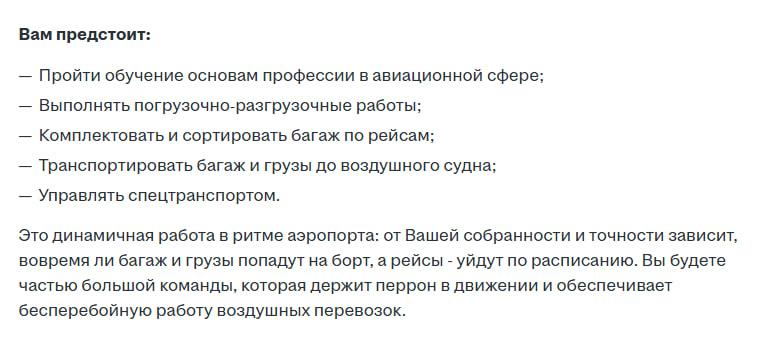 Нелетная работа. Закрытый аэропорт Платов ищет сотрудников для работы с VIP-пассажирами и не только